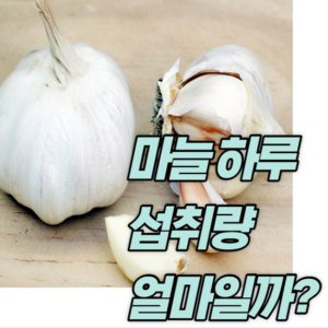 마늘 하루 섭취량 효능 부작용