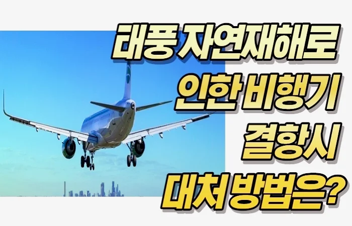 제주도 태풍 및 자연재해로 인한 비행기 결항시 대처 방법은?