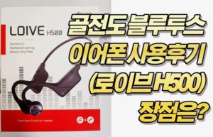 골전도 블루투스 이어폰 사용후기 (로이브 H500) 장점은?