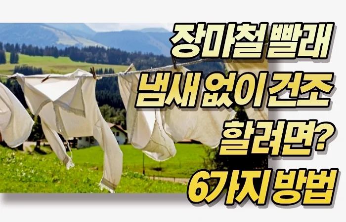 장마철 빨래 냄새 없이 건조 할려면? 6가지 방법