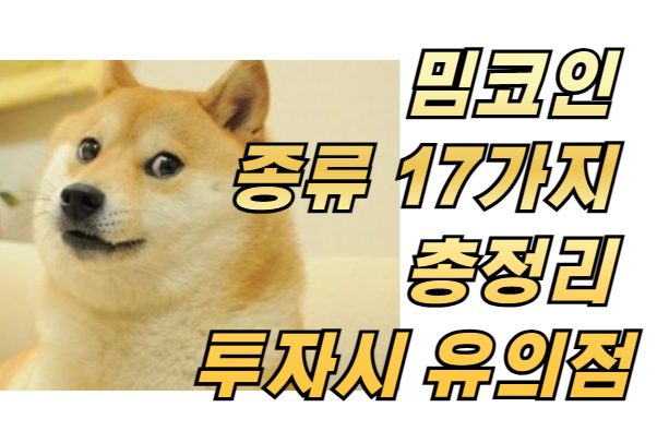 밈코인 종류 17가지 총정리 점점 늘어나는중.. 투자시 유의점