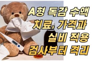 A형 독감 수액 치료, 가격과 실비 적용 가능할까? 검사부터 격리까지 총정리