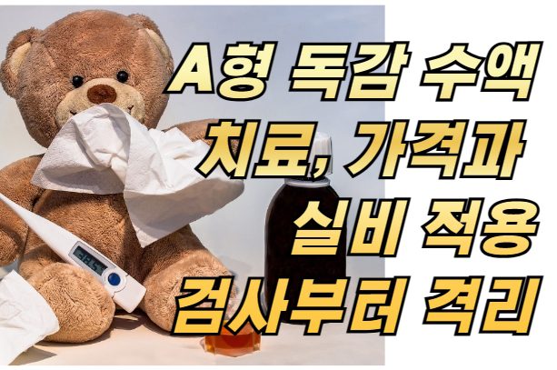 A형 독감 수액 치료, 가격과 실비 적용 가능할까? 검사부터 격리까지 총정리